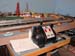 SamMcElwee_March2008_001